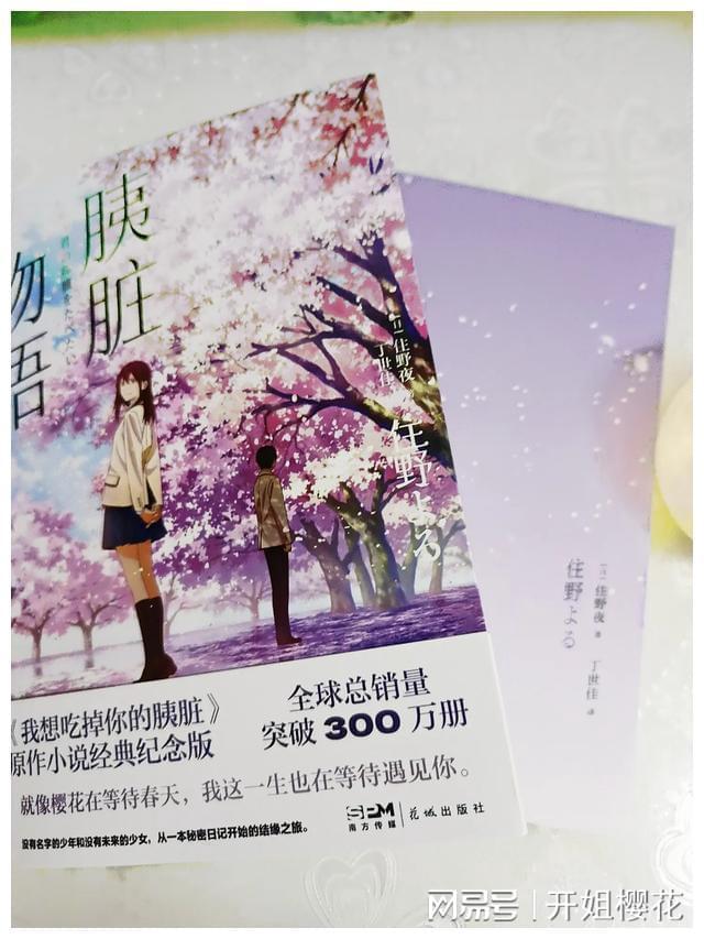 做好金融“五篇大文章”，湖南银行业保险业活力奔涌